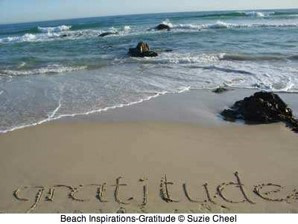 Gratitude Gratitude